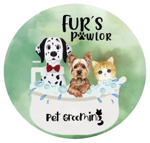 Logo-sin-fondo-final